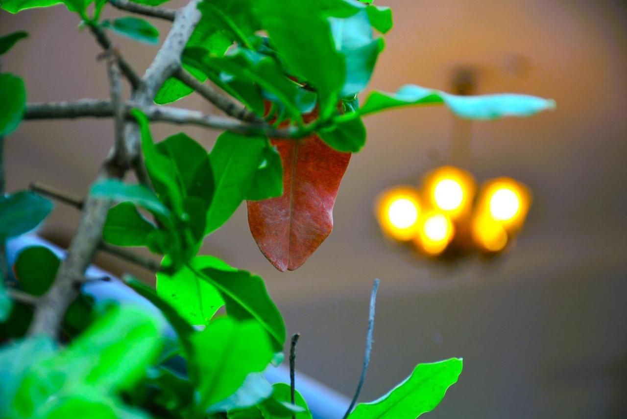 Yellow Homestay - Modern 2Bhk Ac Stay Jabalpur Eksteriør bilde